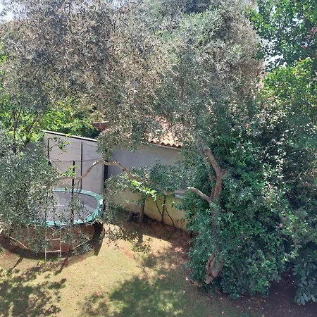Dasara Apartman *